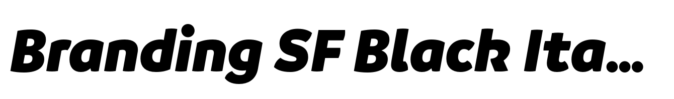 Branding SF Black Italic